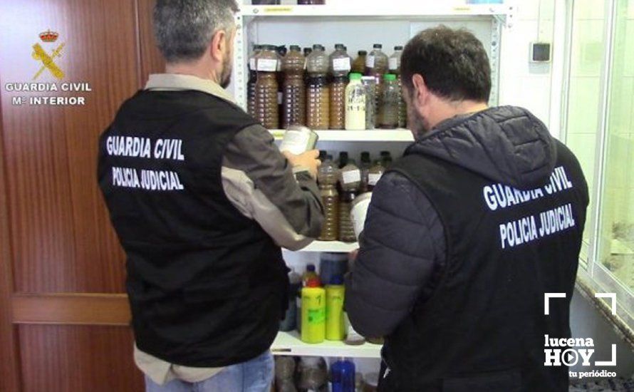 Agentes de la Guardia Civil durante uno de los registros realizados. Foto: Guardia Civil. Ministerio de Interior. Agentes de la Guardia Civil durante uno de los registros realizados. Foto: Guardia Civil. Ministerio de Interior.