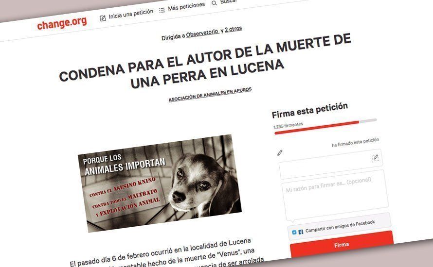 Imagen de la petición de firmas abierta en la plataforma Change.org a raíz de este caso Imagen de la petición de firmas abierta en la plataforma Change.org a raíz de este caso