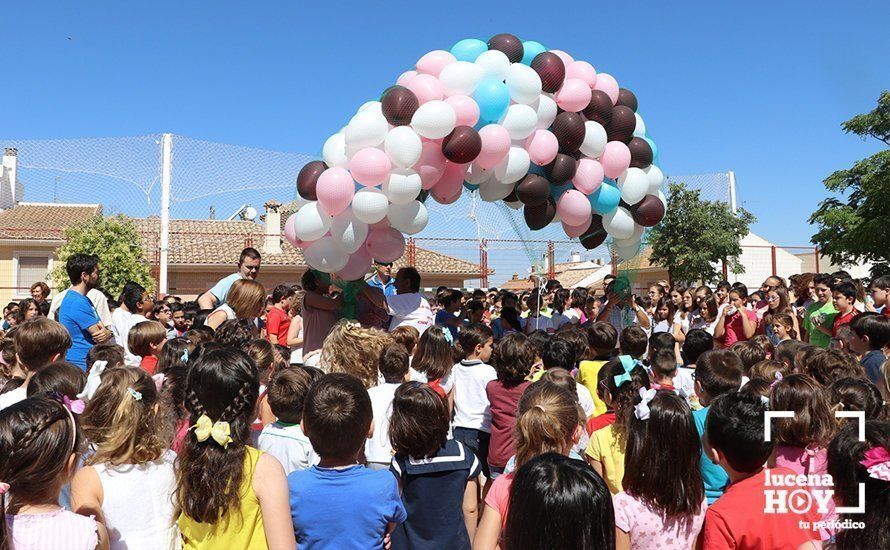 Un total de 198 globos han ascendido al cielo, justo la mitad del número de personas que durante el año 2016 donaron sus órganos en Andalucía. Un total de 198 globos han ascendido al cielo, justo la mitad del número de personas que durante el año 2016 donaron sus órganos en Andalucía.