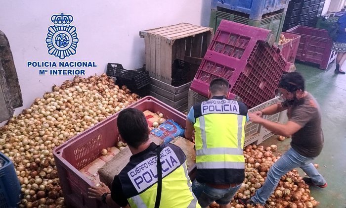 Agentes de la Policía Nacional durante el operativo policial. Agentes de la Policía Nacional durante el operativo policial.
