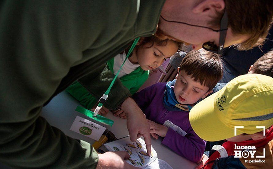 Actividad en el Área de la Naturaleza. Foto: Mimi Villa
