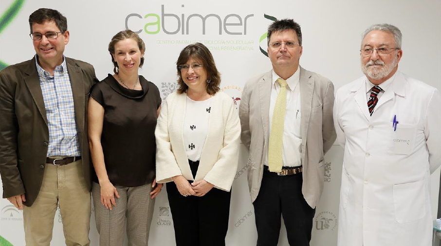 Los investigadores Benoit Gauthuier, Nadia Cobo, Teresa Molina, Andrés Aguilera y Bernat Soria Los investigadores Benoit Gauthuier, Nadia Cobo, Teresa Molina, Andrés Aguilera y Bernat Soria