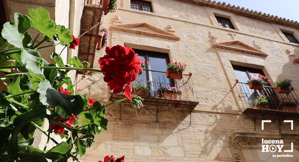 Los patios del Palacio de Santa Ana se han llenado de flores Los patios del Palacio de Santa Ana se han llenado de flores