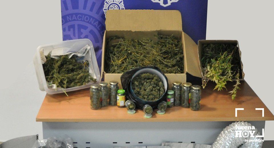 Marihuana incautada en Lucena por la Policía Nacional Marihuana incautada en Lucena por la Policía Nacional