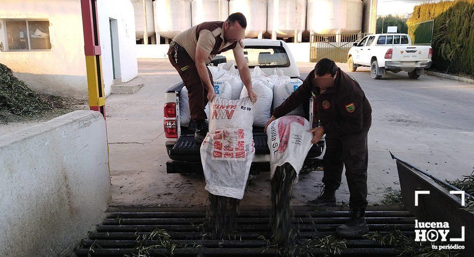Empleados del servicio de guardería del olivar entregan la aceituna robada en una almazara de Lucena esta tarde. Empleados del servicio de guardería del olivar entregan la aceituna robada en una almazara de Lucena esta tarde.