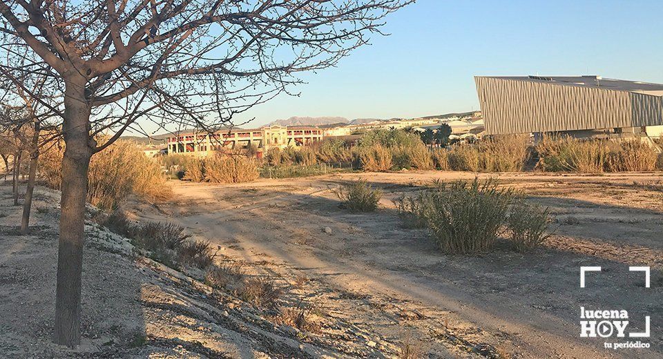 Terrenos en los que se ubicará el Parque Europa Terrenos en los que se ubicará el Parque Europa