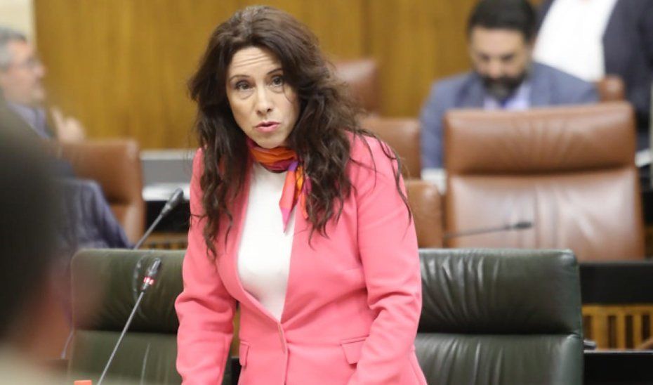 La Consejera Rocío Ruiz, en el Parlamento. La Consejera Rocío Ruiz, en el Parlamento.