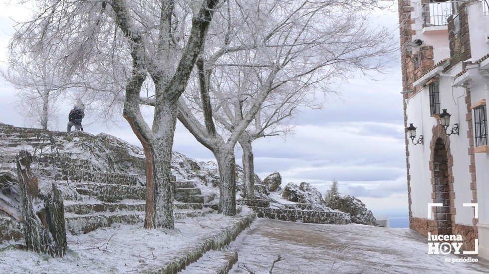 nieve 1