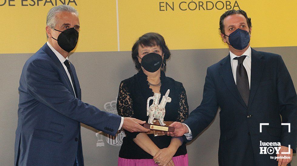Premio Constitución AFAR
