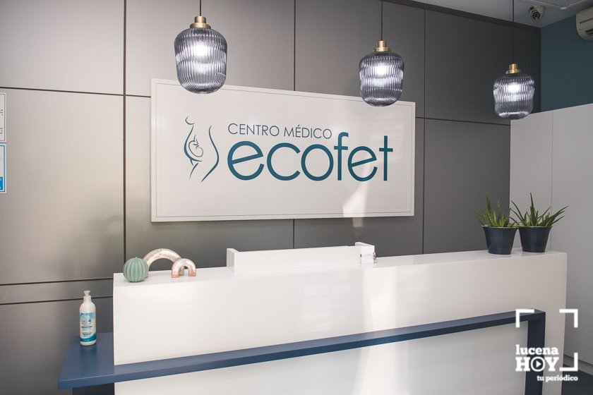 Ecofet (2)