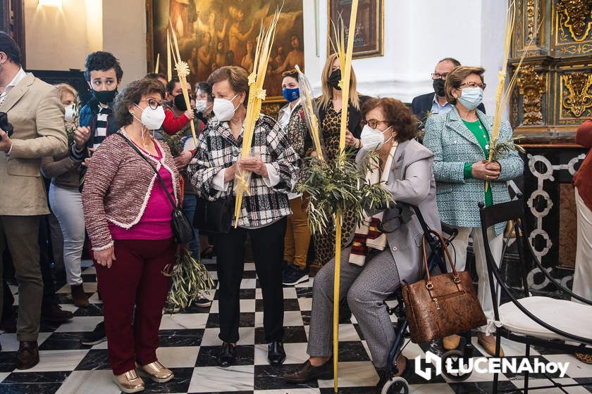 GALERÍA: Semana Santa de Lucena 2022: La Bendición de las Palmas y el traslado procesional de la Pollinita del Carmen en imágenes GALERÍA: Semana Santa de Lucena 2022: La Bendición de las Palmas y el traslado procesional de la Pollinita del Carmen en imágenes