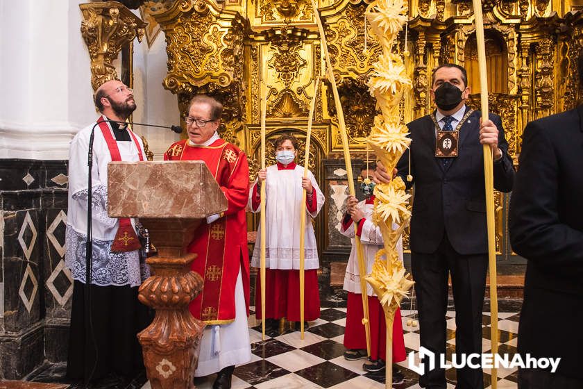 GALERÍA: Semana Santa de Lucena 2022: La Bendición de las Palmas y el traslado procesional de la Pollinita del Carmen en imágenes