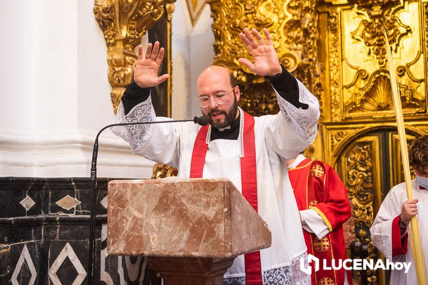 GALERÍA: Semana Santa de Lucena 2022: La Bendición de las Palmas y el traslado procesional de la Pollinita del Carmen en imágenes GALERÍA: Semana Santa de Lucena 2022: La Bendición de las Palmas y el traslado procesional de la Pollinita del Carmen en imágenes