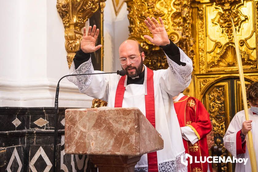 GALERÍA: Semana Santa de Lucena 2022: La Bendición de las Palmas y el traslado procesional de la Pollinita del Carmen en imágenes