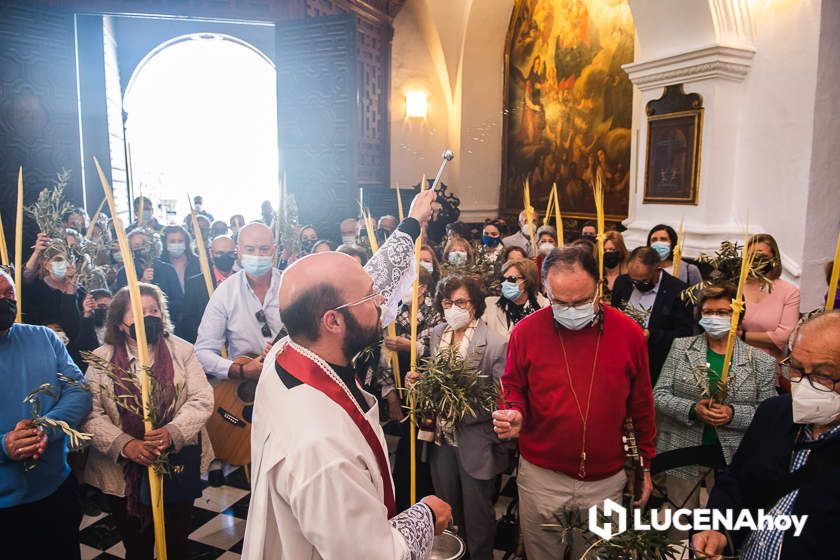 GALERÍA: Semana Santa de Lucena 2022: La Bendición de las Palmas y el traslado procesional de la Pollinita del Carmen en imágenes