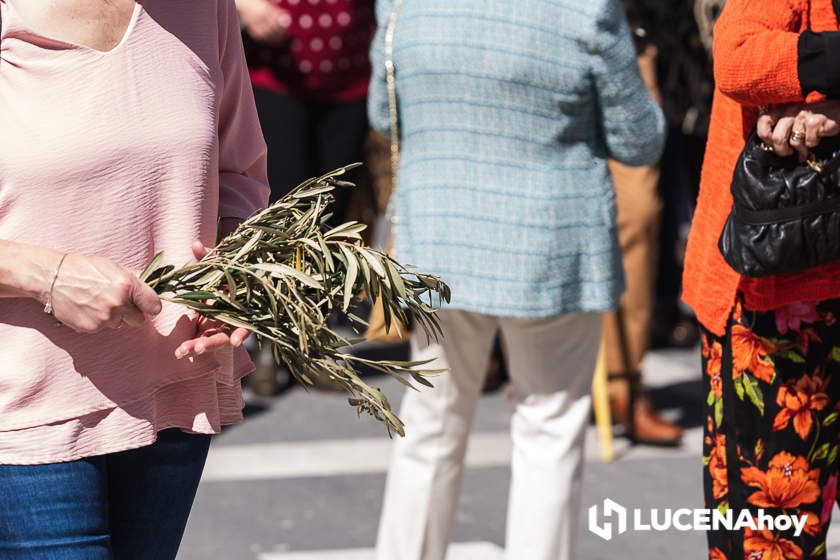 GALERÍA: Semana Santa de Lucena 2022: La Bendición de las Palmas y el traslado procesional de la Pollinita del Carmen en imágenes