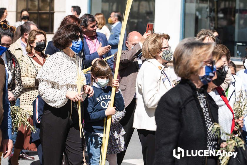 GALERÍA: Semana Santa de Lucena 2022: La Bendición de las Palmas y el traslado procesional de la Pollinita del Carmen en imágenes