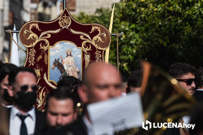 GALERÍA: Semana Santa 2022. Las imágenes del Domingo de Ramos: La Pollinita