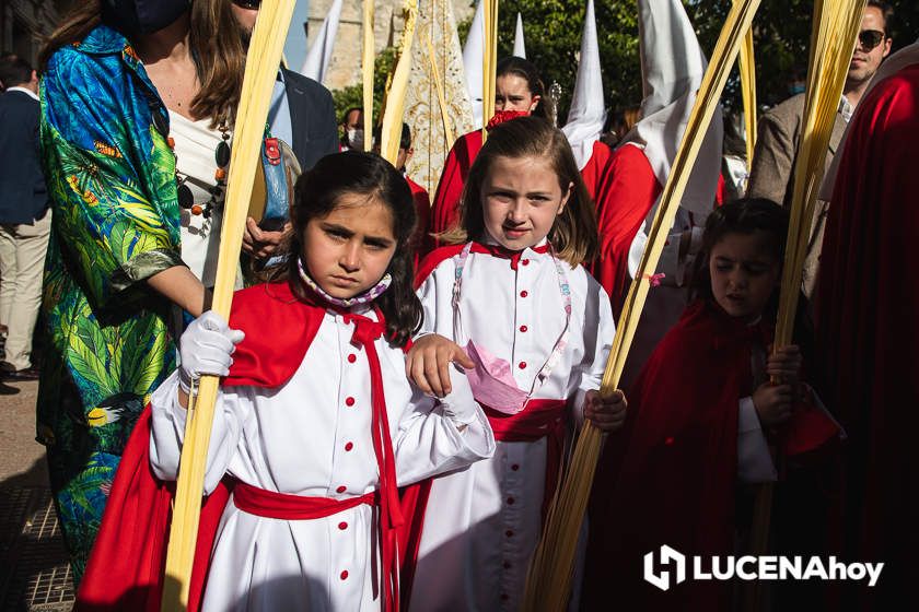 GALERÍA: Semana Santa 2022. Las imágenes del Domingo de Ramos: La Pollinita