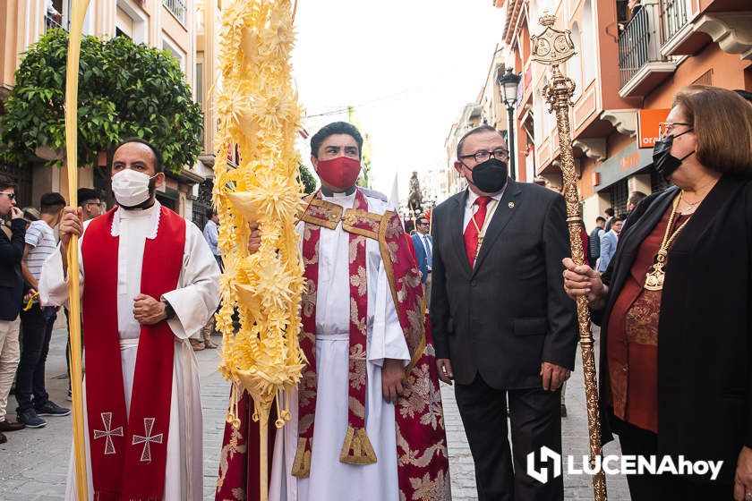 GALERÍA: Semana Santa 2022. Las imágenes del Domingo de Ramos: La Pollinita GALERÍA: Semana Santa 2022. Las imágenes del Domingo de Ramos: La Pollinita