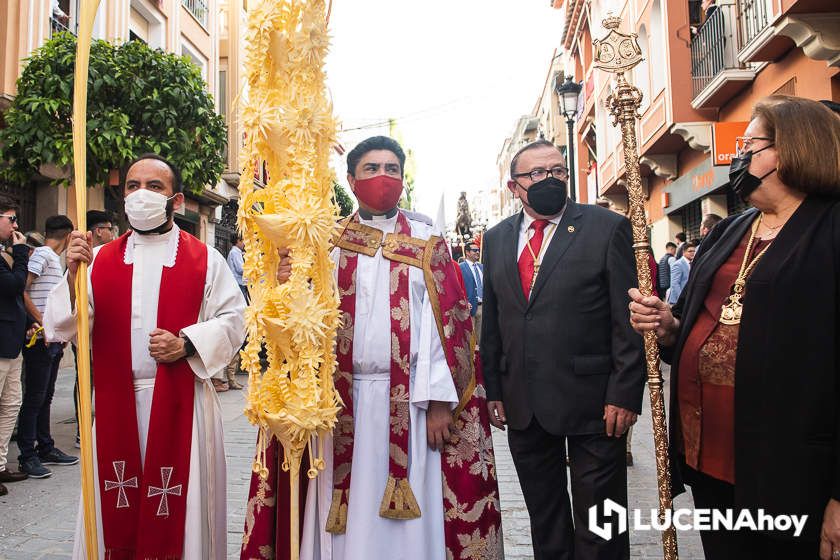 GALERÍA: Semana Santa 2022. Las imágenes del Domingo de Ramos: La Pollinita