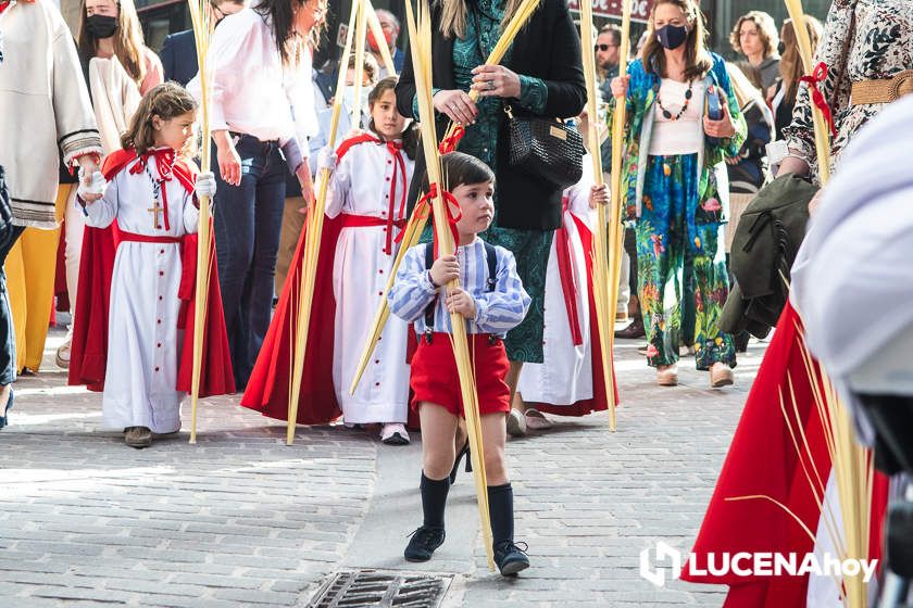 GALERÍA: Semana Santa 2022. Las imágenes del Domingo de Ramos: La Pollinita