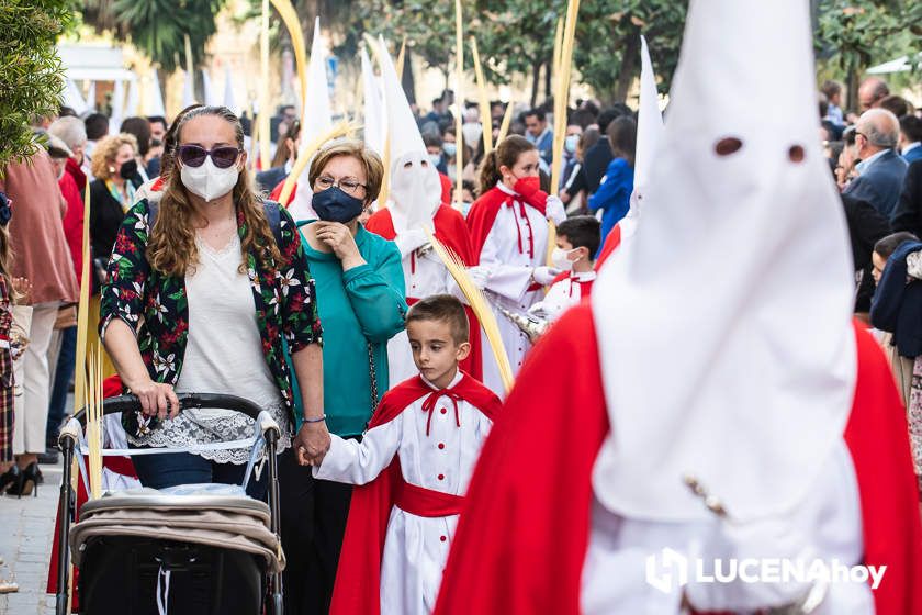 GALERÍA: Semana Santa 2022. Las imágenes del Domingo de Ramos: La Pollinita