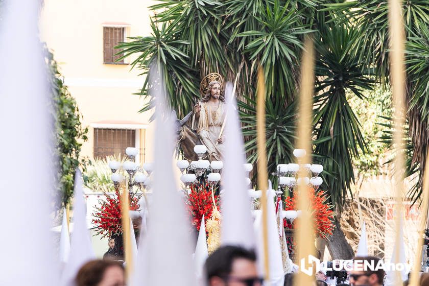GALERÍA: Semana Santa 2022. Las imágenes del Domingo de Ramos: La Pollinita