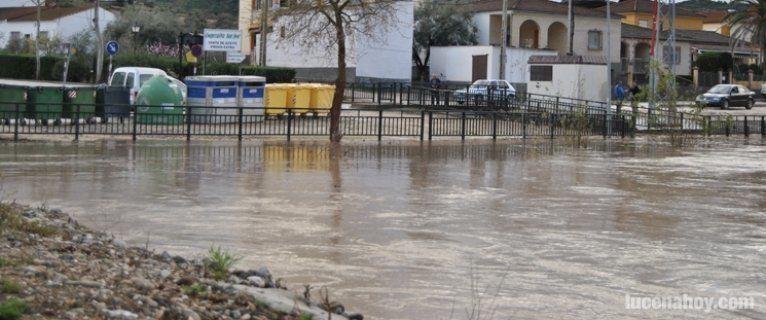  El Genil inunda de nuevo el víal que separa el río de los edificios (fotos) 