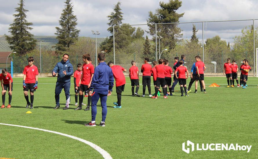GALERÍA: Éxito de participación en el primer campus de fútbol Lucecor impartido por el Club Atlético de Madrid en Lucena