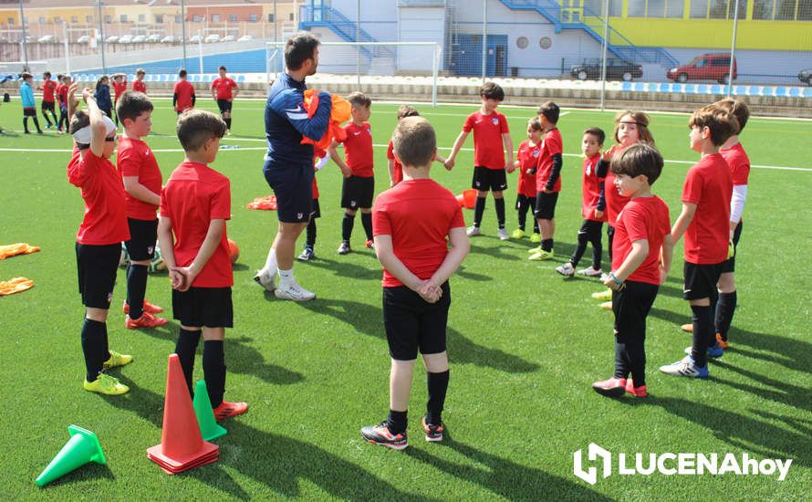 GALERÍA: Éxito de participación en el primer campus de fútbol Lucecor impartido por el Club Atlético de Madrid en Lucena