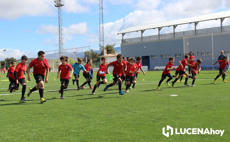 GALERÍA: Éxito de participación en el primer campus de fútbol Lucecor impartido por el Club Atlético de Madrid en Lucena