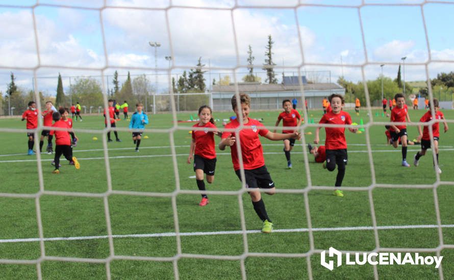 GALERÍA: Éxito de participación en el primer campus de fútbol Lucecor impartido por el Club Atlético de Madrid en Lucena