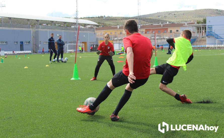 GALERÍA: Éxito de participación en el primer campus de fútbol Lucecor impartido por el Club Atlético de Madrid en Lucena