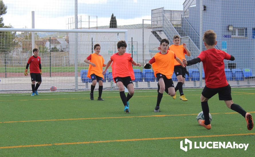 GALERÍA: Éxito de participación en el primer campus de fútbol Lucecor impartido por el Club Atlético de Madrid en Lucena