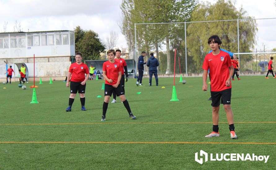 GALERÍA: Éxito de participación en el primer campus de fútbol Lucecor impartido por el Club Atlético de Madrid en Lucena