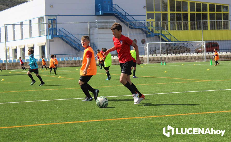 GALERÍA: Éxito de participación en el primer campus de fútbol Lucecor impartido por el Club Atlético de Madrid en Lucena