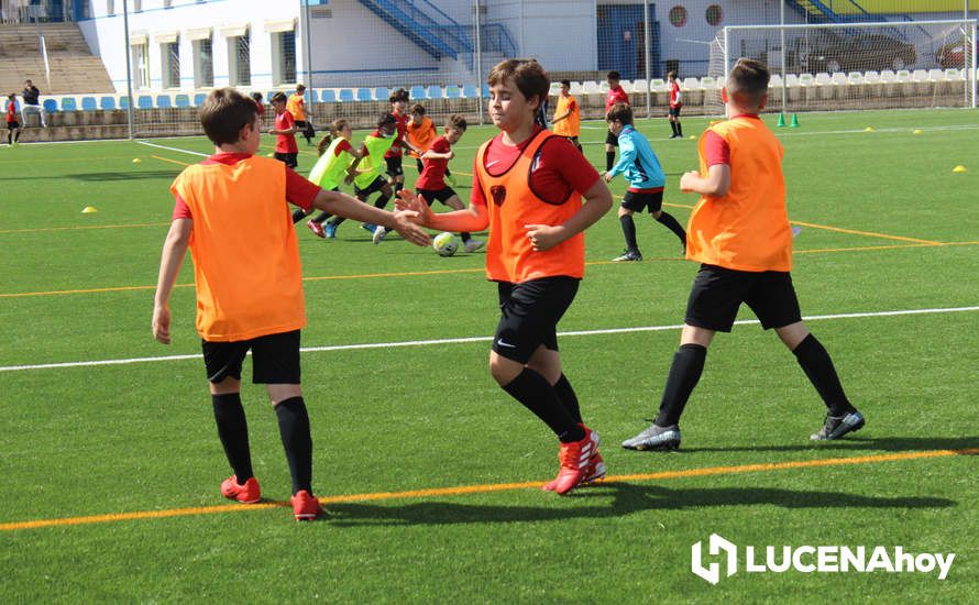 GALERÍA: Éxito de participación en el primer campus de fútbol Lucecor impartido por el Club Atlético de Madrid en Lucena