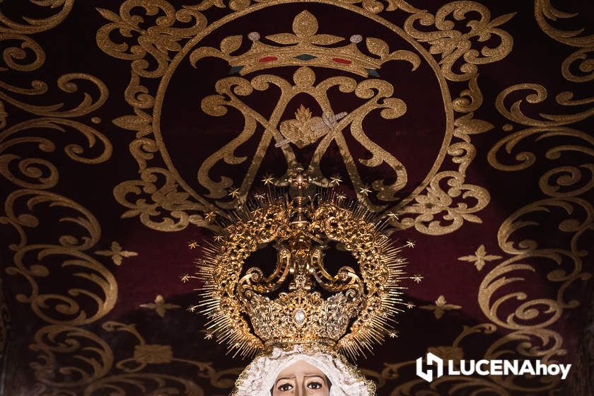 GALERÍA: Semana Santa 2022. Las imágenes del Jueves Santo: La Sangre y María Stma. del Mayor Dolor GALERÍA: Semana Santa 2022. Las imágenes del Jueves Santo: La Sangre y María Stma. del Mayor Dolor