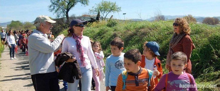  El Colegio 'Antonio Machado' planta cien árboles en el entorno de la Vía Verde 