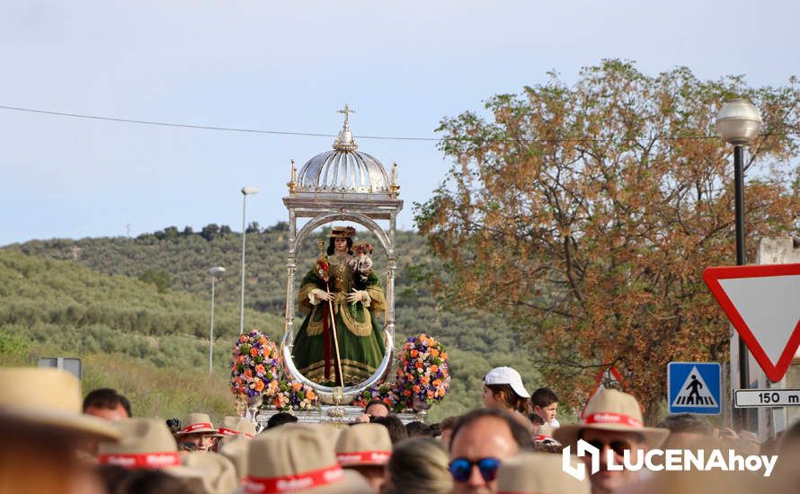 GALERÍA I: Una multitud recibe a la Virgen de Araceli en su llegada a Lucena en Romería de Bajada