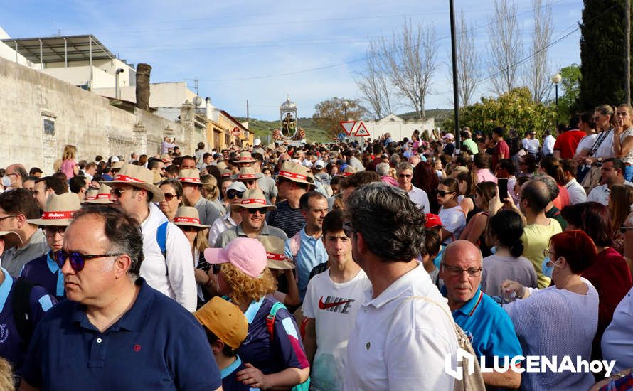 GALERÍA I: Una multitud recibe a la Virgen de Araceli en su llegada a Lucena en Romería de Bajada GALERÍA I: Una multitud recibe a la Virgen de Araceli en su llegada a Lucena en Romería de Bajada