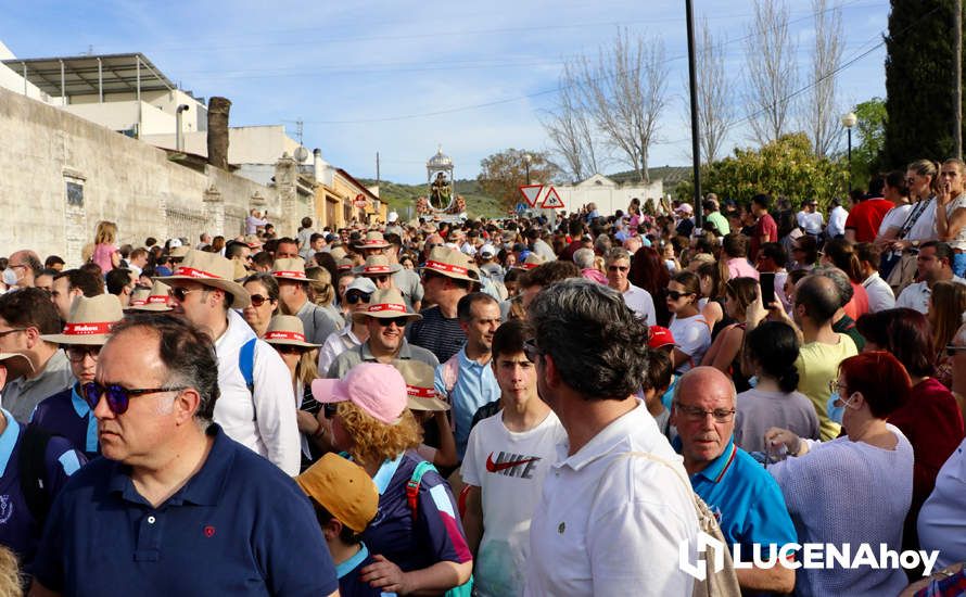 GALERÍA I: Una multitud recibe a la Virgen de Araceli en su llegada a Lucena en Romería de Bajada