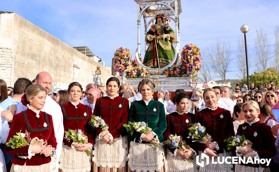 GALERÍA I: Una multitud recibe a la Virgen de Araceli en su llegada a Lucena en Romería de Bajada GALERÍA I: Una multitud recibe a la Virgen de Araceli en su llegada a Lucena en Romería de Bajada