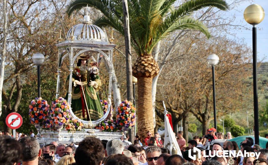 GALERÍA I: Una multitud recibe a la Virgen de Araceli en su llegada a Lucena en Romería de Bajada GALERÍA I: Una multitud recibe a la Virgen de Araceli en su llegada a Lucena en Romería de Bajada