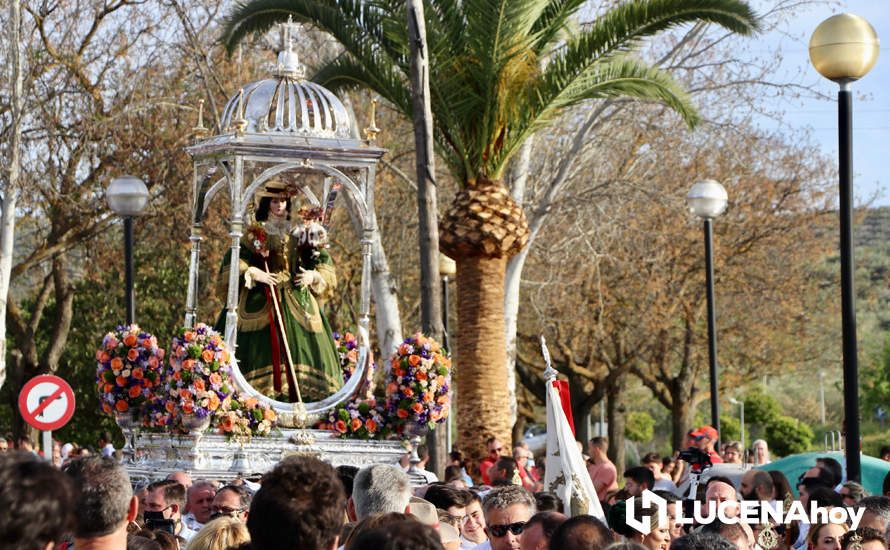 GALERÍA I: Una multitud recibe a la Virgen de Araceli en su llegada a Lucena en Romería de Bajada