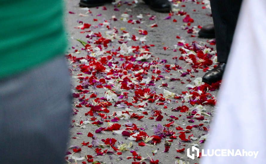 GALERÍA I: Una multitud recibe a la Virgen de Araceli en su llegada a Lucena en Romería de Bajada