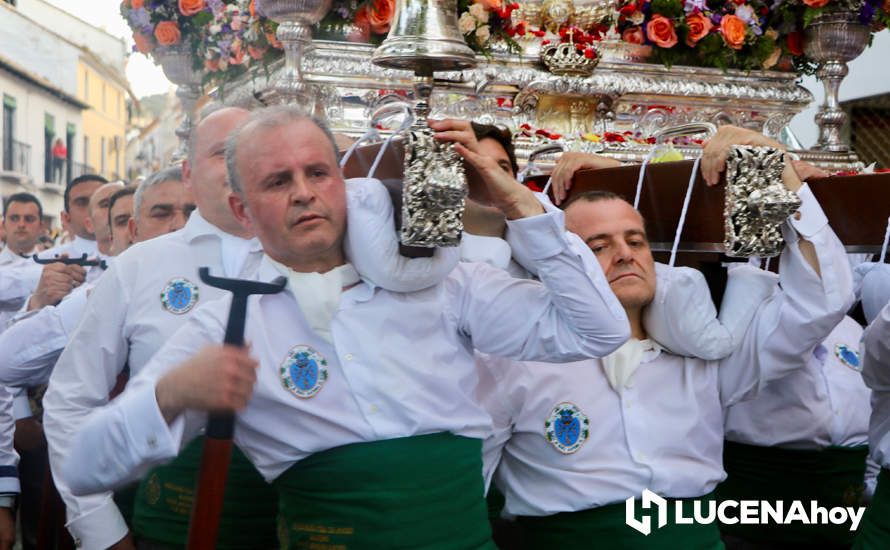 GALERÍA I: Una multitud recibe a la Virgen de Araceli en su llegada a Lucena en Romería de Bajada