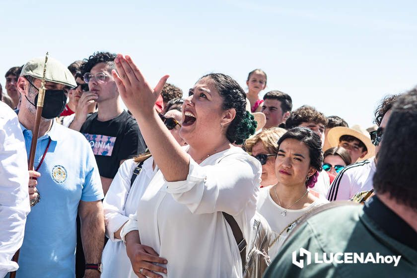 GALERÍA II: La Bajada más esperada de la Virgen de Araceli