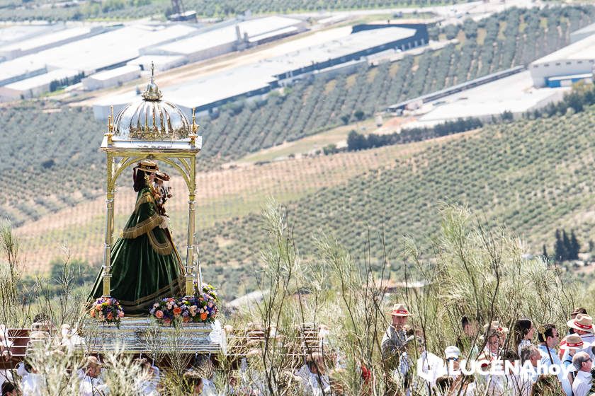 GALERÍA II: La Bajada más esperada de la Virgen de Araceli